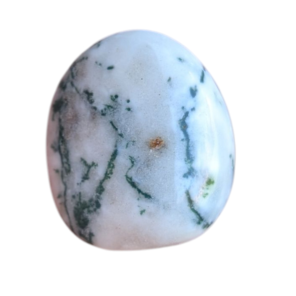 Moss Agate Polished Stone